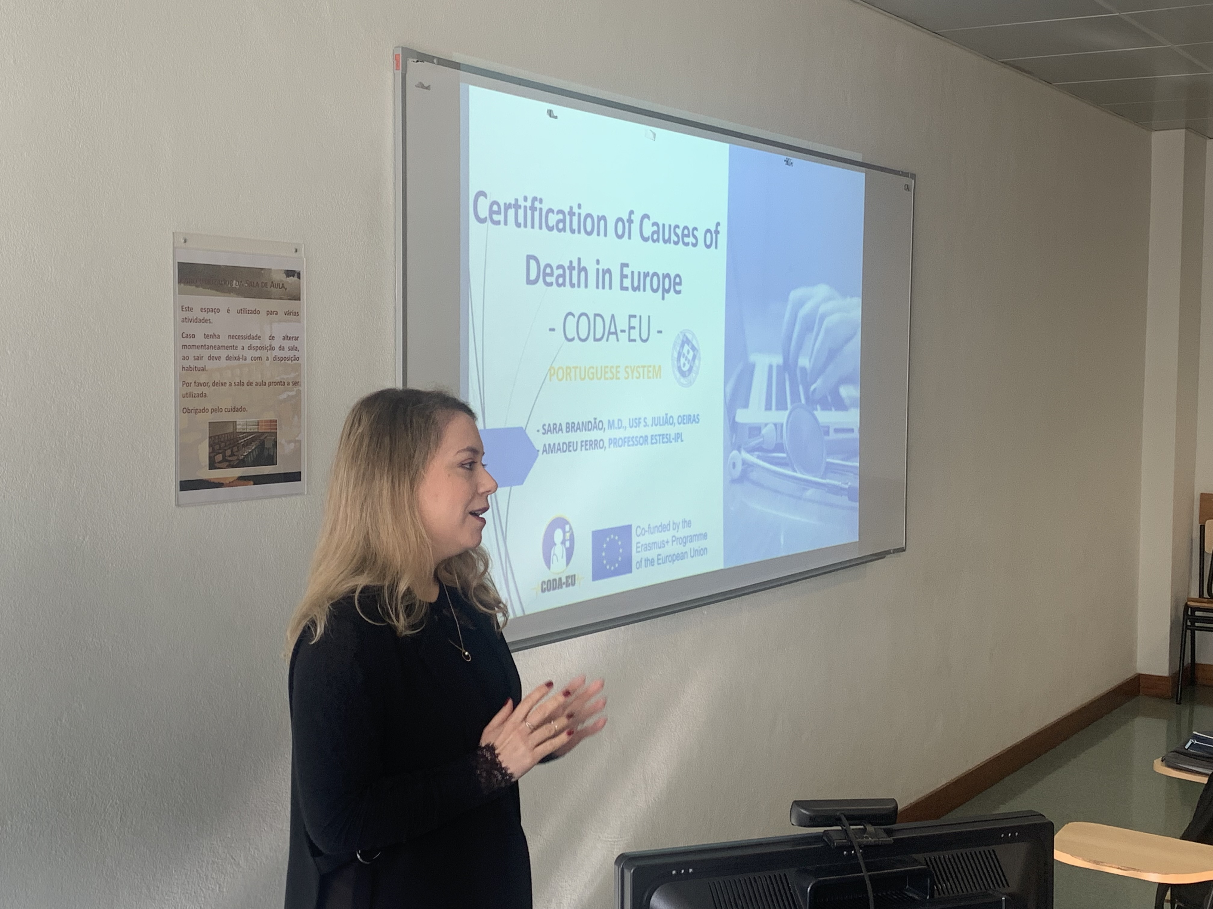 Sara Loureiro Brandão